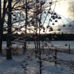 Winter in Rantasalmi